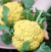 Cheddar_orange_cauliflower